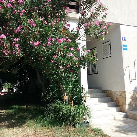 Apartman Nona Povljana Ngoại thất bức ảnh